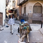 Frustrated in Egypt