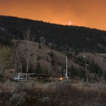 Eerie Forest Fire